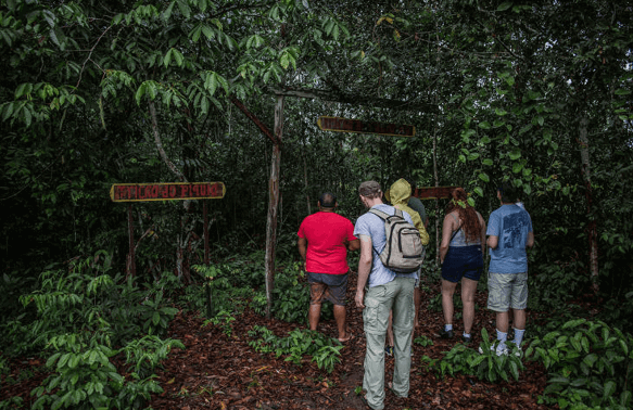 turismo na Amazônia